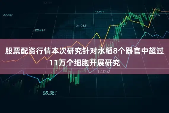 股票配资行情本次研究针对水稻8个器官中超过11万个细胞开展研究