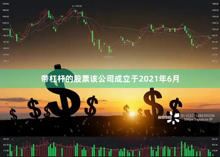 带杠杆的股票该公司成立于2021年6月